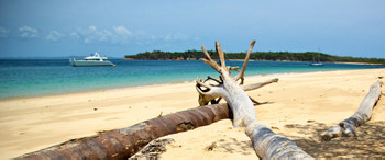 Isla Contadora photo 3