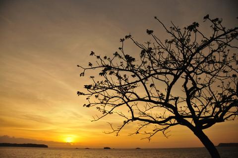 Isla Contadora Panama