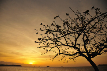 Isla Contadora photo 2