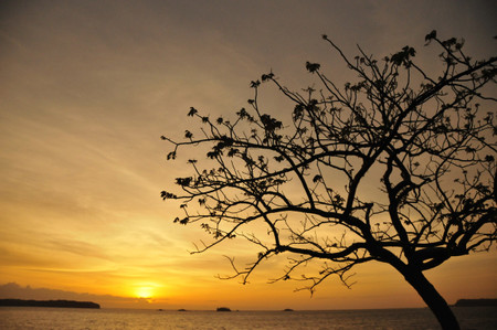 Isla Contadora photo 2