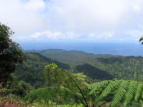 Coco Island Costa Rica