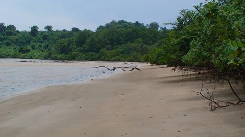 Isla San José Panama
