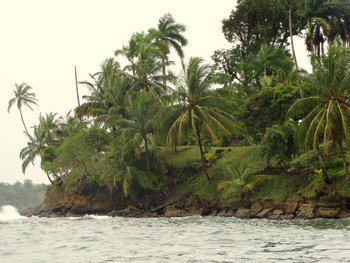 Solarte Island photo 2