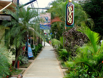 Jaco photo 2