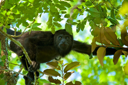 Guatemala Lakes photo 3