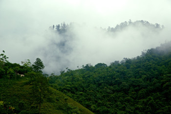 Lanquín, Alta Verapaz photo 2