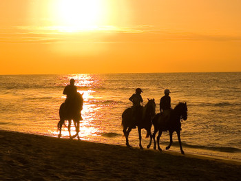 Mancora photo 2