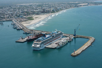 Manta photo 3