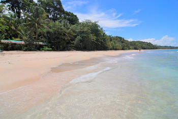 Manzanillo photo 2