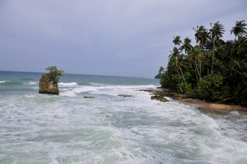 Manzanillo photo 3