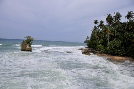 Manzanillo photo 3