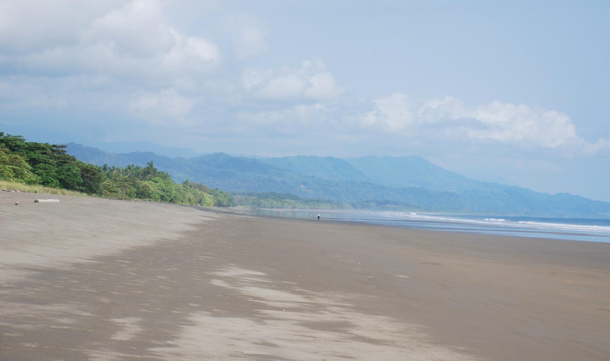 Matapalo, Central Pacific Costa Rica 2019 Travel Guide Anywere