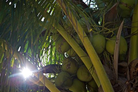 Maya Beach Belize