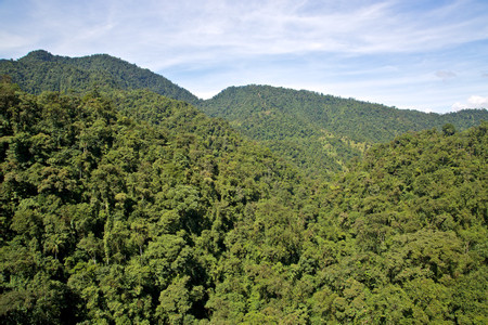 Ecuador Cloud Forests photo 2