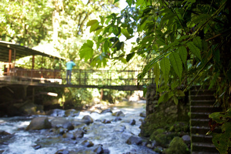 Mindo photo 3