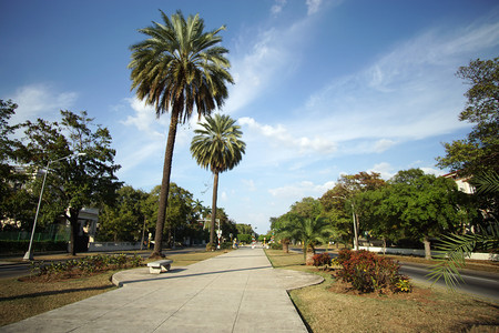 Vecindario Miramar photo 3
