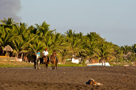 Monterrico photo 2
