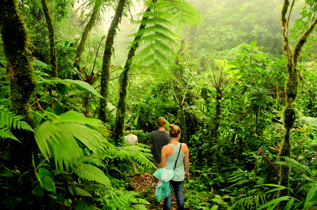 Costa Rica Cloud Forests