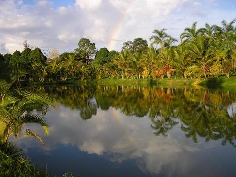 Peru Destinos con Bosques Nubosos