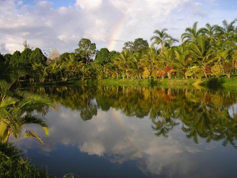 Moyobamba
