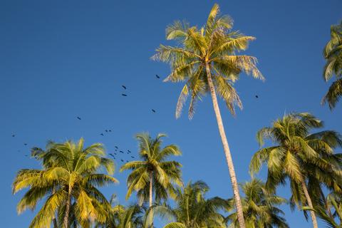 Ngapali Beach Myanmar