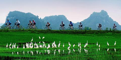 Ninh Binh Vietnam