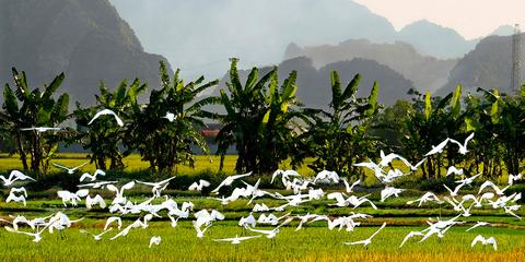 Ninh Binh Vietnam