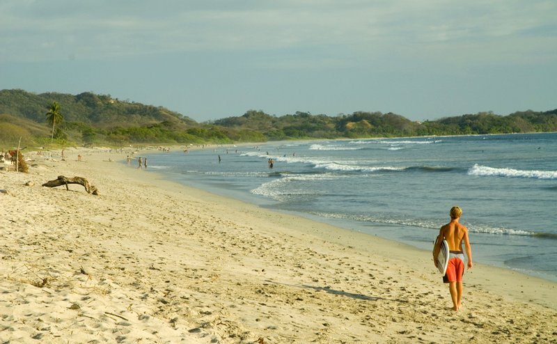 A surfer walking along a wide, quiet beach in Nosara