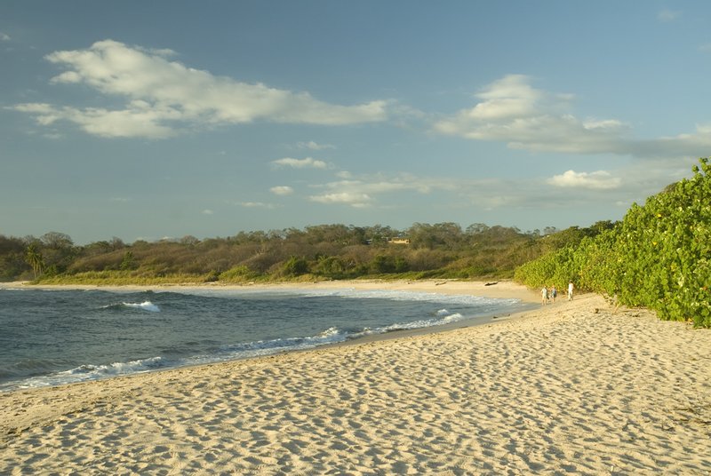 Pale sand, low surf and green forest at Playa Pelada, Nosara