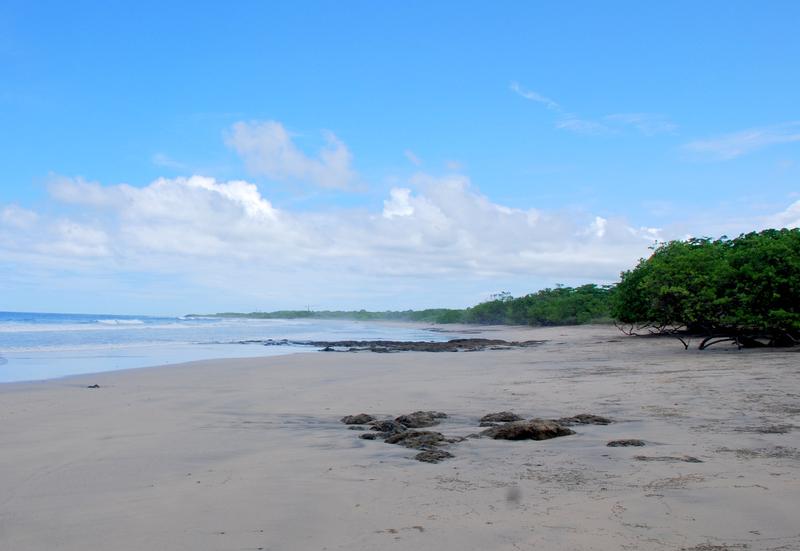 Playa Avellana, Guanacaste Costa Rica 2024 Travel Guide Anywhere