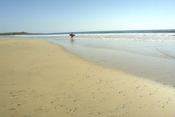 Playa Avellana photo 3