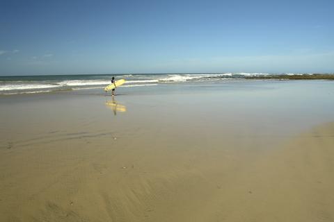 Playa Avellana Costa Rica