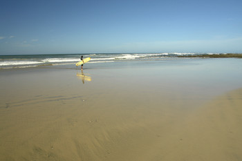 Playa Avellana photo 2