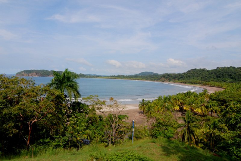 The palm-backed crescent of Playa Carrillo seen from the hill above