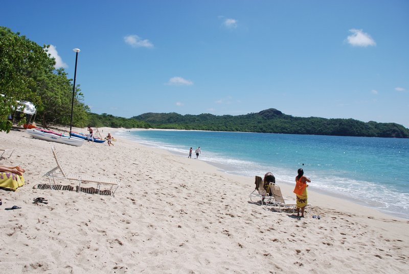 Shade trees and beach chairs at the edge of Playa Conchal