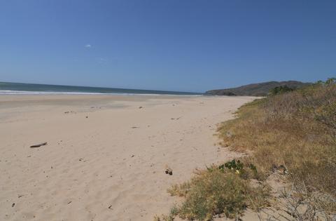 Playa Grande Costa Rica