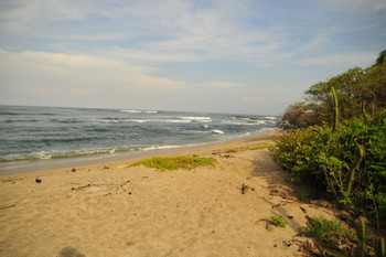 Playa Junquillal photo 3