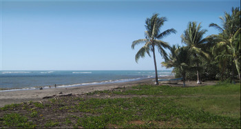 Playa Lagarto photo 2