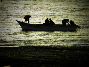 Playa Lagarto photo 3