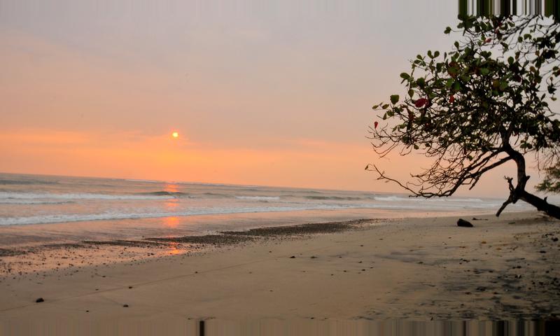 Playa Manzanillo, Costa Rica 2018 Travel Guide