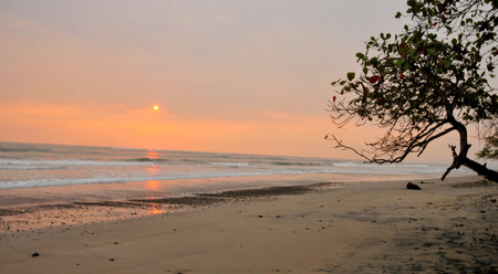 Manzanillo Beach photo 2