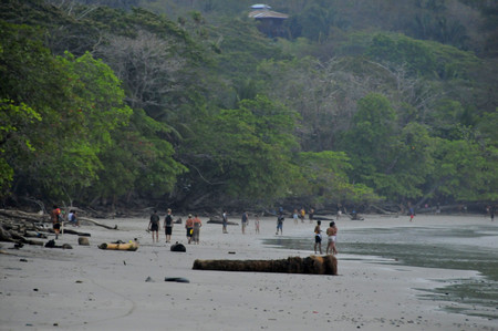 Manzanillo Beach photo 3