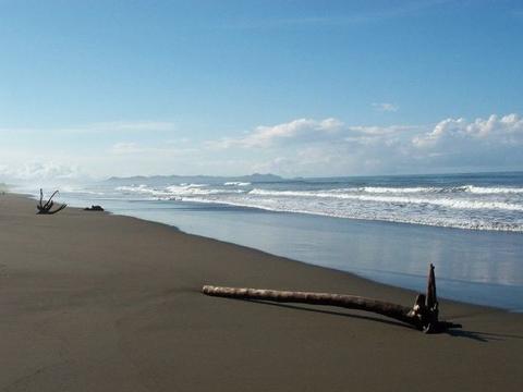 Playa Palo Seco Costa Rica