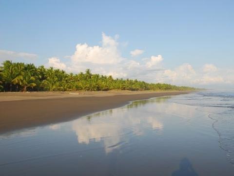 Playa Palo Seco Costa Rica