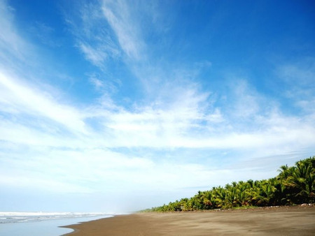 Playa Palo Seco photo 2