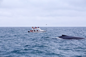 Puerto Lopez