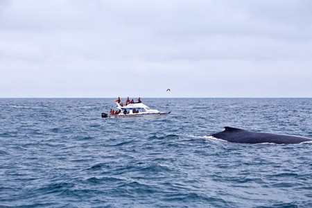 Puerto Lopez