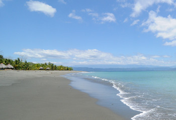 Puerto Jimenez photo 2