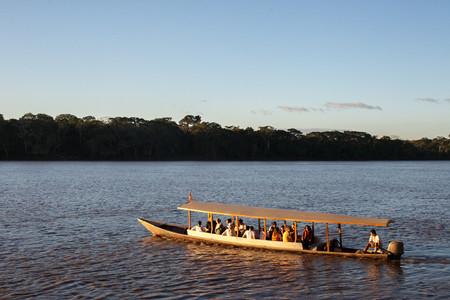 Peru Rainforests photo 2