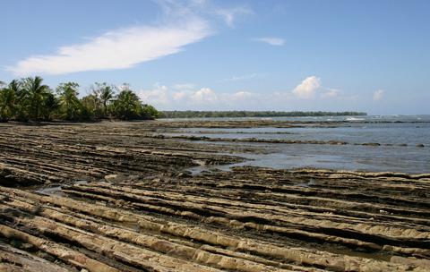 Punta Burica Panama